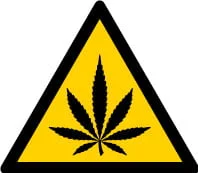 Alaska Universal Cannabis Symbol Universal Symbols