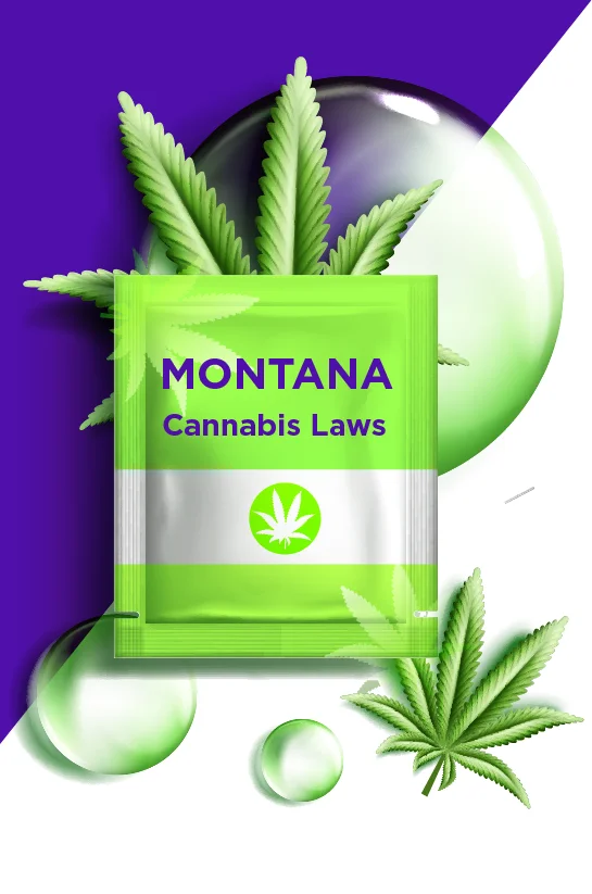 Montana cannabis laws 05 Montana Cannabis Laws