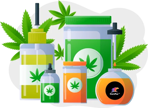 cannabis and cbd are legalized Types of Cannabis Packaging