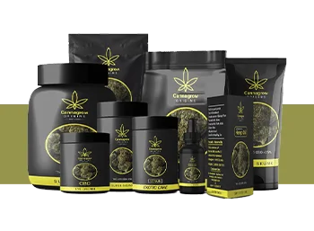 hard sided cannabis packaging Types of Cannabis Packaging
