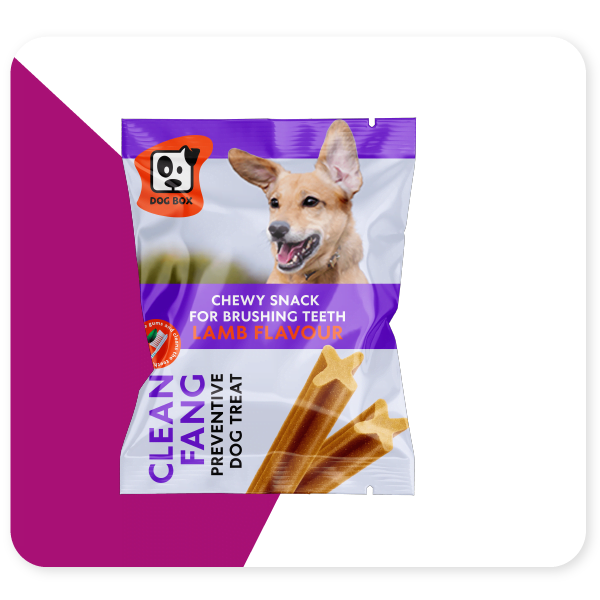 Main template 01 What Materials to Consider for Your Dog Treat Packaging