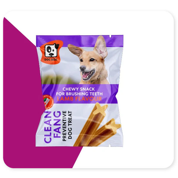 Main template 01 What Materials to Consider for Your Dog Treat Packaging