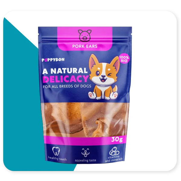 Main template 03 What Materials to Consider for Your Dog Treat Packaging