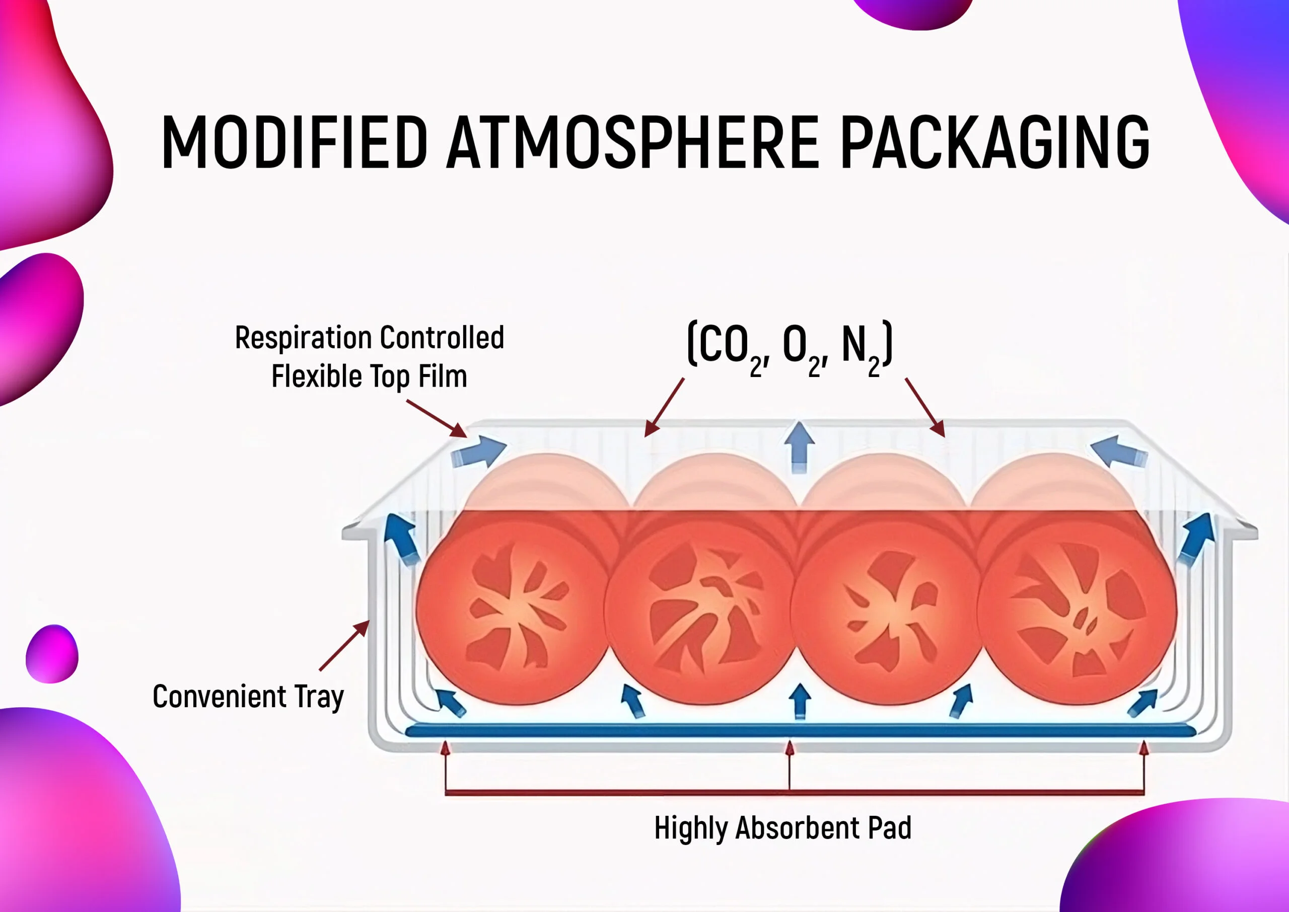 modified-atmosphere-packaging-transformed2 modified atmosphere packaging transformed2 scaled The Specifications for Extended Shelf-Life in Food Packaging