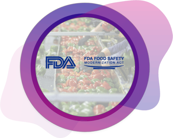 Meeting Food Safety Standards For Large-Scale Distribution