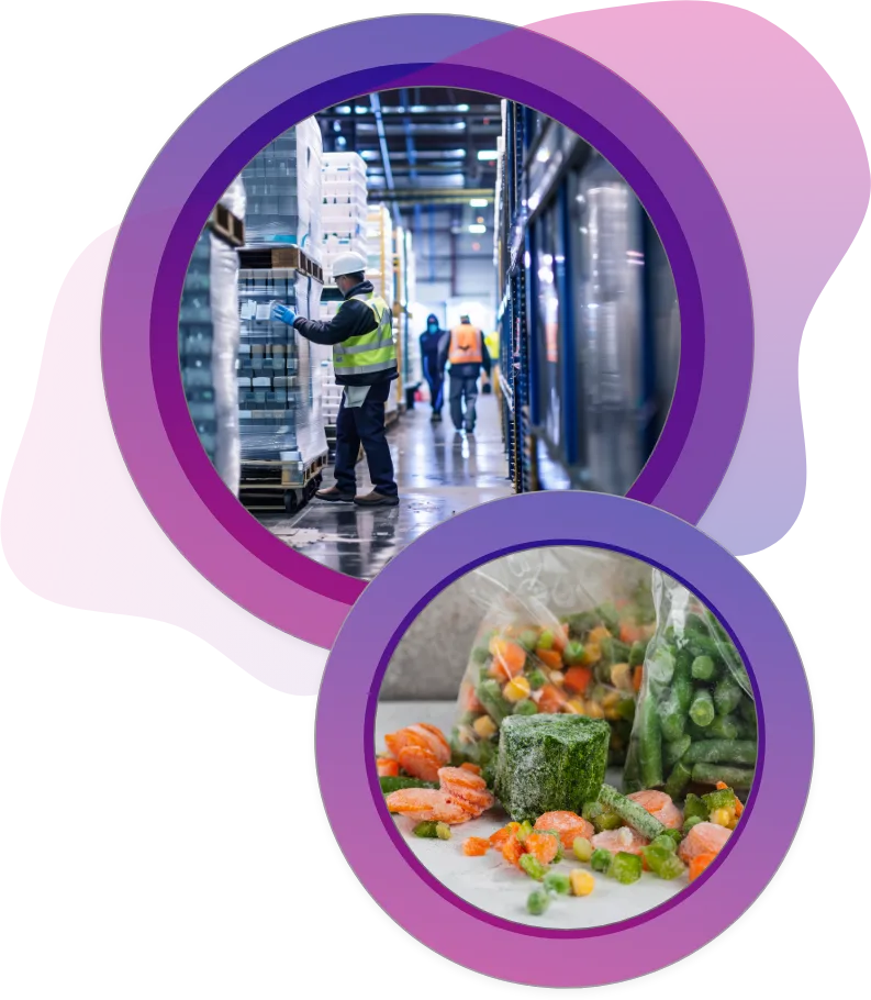 Frozen-Food-Logistics_01