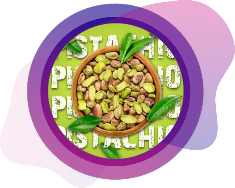 Pistachio Harvest Cycle