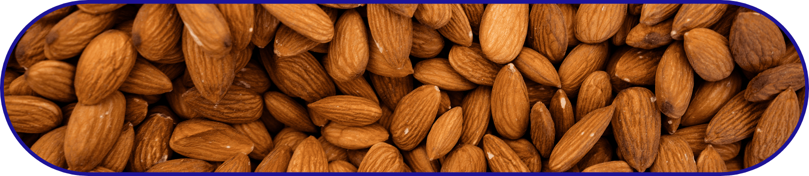 Natural Almonds A detailed close-up image showing a densely packed surface of raw almonds, emphasizing their natural texture and color with a vibrant, organic appearance.