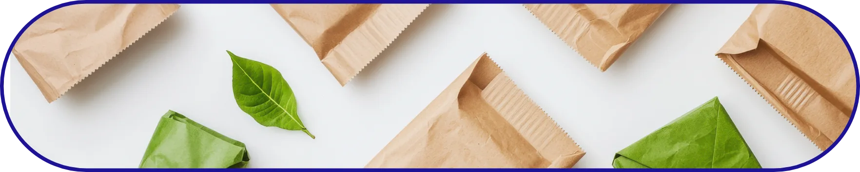 Multiple kraft paper pouches and green leaves laid out on a white surface, showcasing compostable and sustainable flexible packaging options for eco-conscious brands.