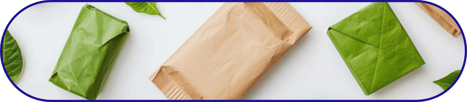Multiple kraft paper pouches and green leaves laid out on a white surface, showcasing compostable and sustainable flexible packaging options for eco-conscious brands.