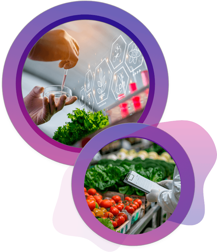 Scientists performing food safety testing with lab equipment and inspecting fresh produce in grocery settings to ensure FSMA standards for safe food supply chains.