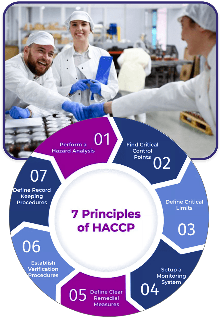 Food production team working in a hygienic facility alongside a diagram of the seven principles of HACCP, including hazard analysis, critical limits, monitoring, verification, and record keeping.