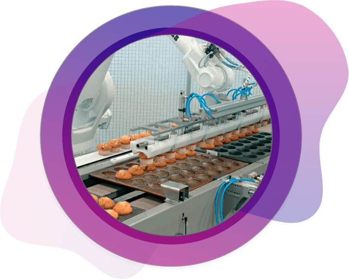 Automated food manufacturing line producing baked goods under HACCP guidelines, demonstrating critical control points, contamination prevention, and food safety monitoring in industrial processing.